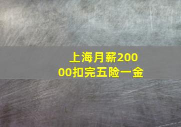 上海月薪20000扣完五险一金