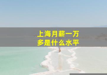 上海月薪一万多是什么水平