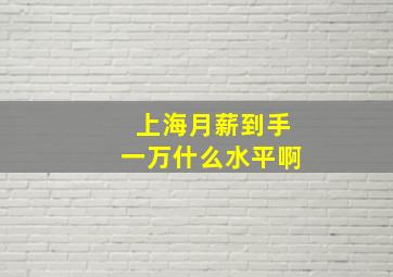 上海月薪到手一万什么水平啊