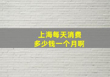 上海每天消费多少钱一个月啊