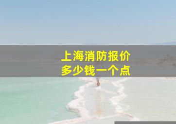 上海消防报价多少钱一个点