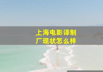 上海电影译制厂现状怎么样