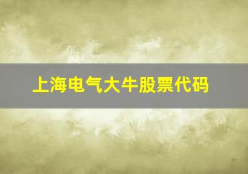 上海电气大牛股票代码