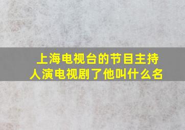 上海电视台的节目主持人演电视剧了他叫什么名