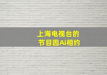 上海电视台的节目因Ai相约