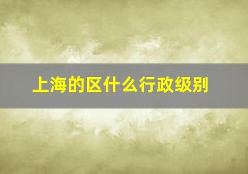 上海的区什么行政级别