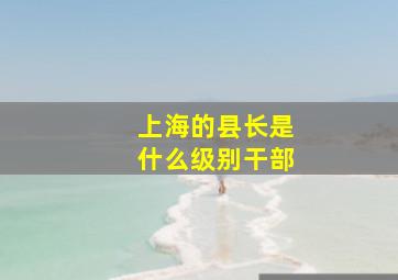 上海的县长是什么级别干部