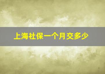 上海社保一个月交多少