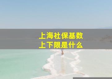 上海社保基数上下限是什么