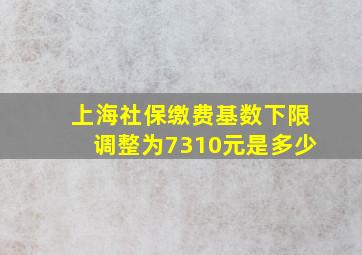 上海社保缴费基数下限调整为7310元是多少