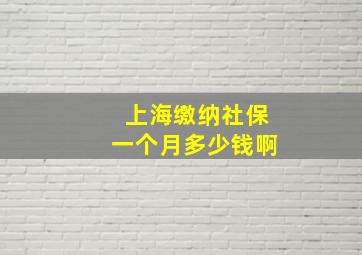 上海缴纳社保一个月多少钱啊