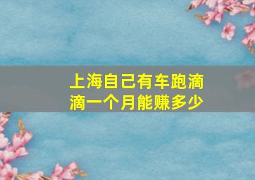 上海自己有车跑滴滴一个月能赚多少