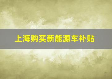 上海购买新能源车补贴