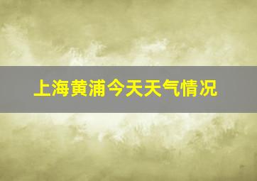 上海黄浦今天天气情况