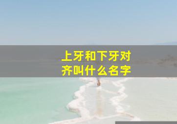 上牙和下牙对齐叫什么名字