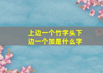 上边一个竹字头下边一个加是什么字