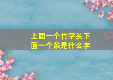 上面一个竹字头下面一个条是什么字