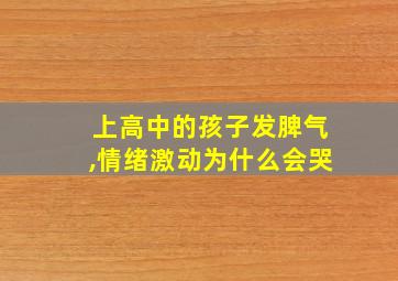 上高中的孩子发脾气,情绪激动为什么会哭