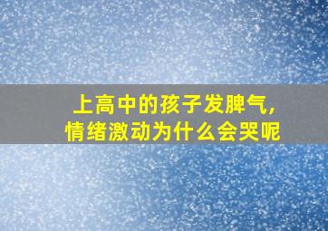 上高中的孩子发脾气,情绪激动为什么会哭呢