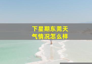 下星期东莞天气情况怎么样