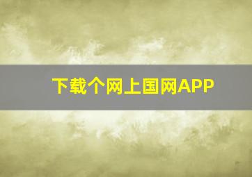 下载个网上国网APP