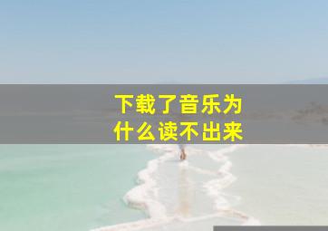 下载了音乐为什么读不出来