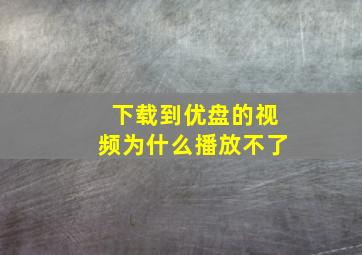 下载到优盘的视频为什么播放不了