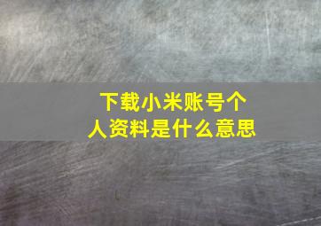 下载小米账号个人资料是什么意思