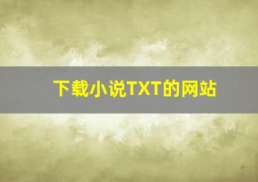 下载小说TXT的网站