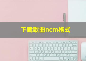 下载歌曲ncm格式