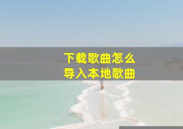 下载歌曲怎么导入本地歌曲