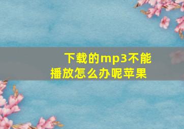 下载的mp3不能播放怎么办呢苹果