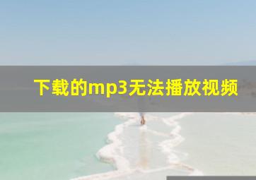 下载的mp3无法播放视频