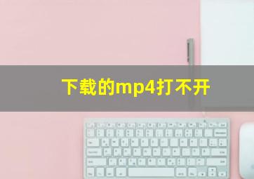 下载的mp4打不开