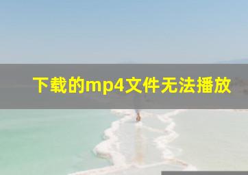 下载的mp4文件无法播放