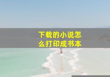 下载的小说怎么打印成书本