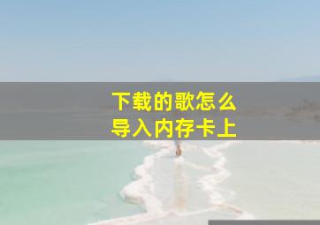 下载的歌怎么导入内存卡上