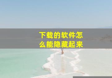 下载的软件怎么能隐藏起来