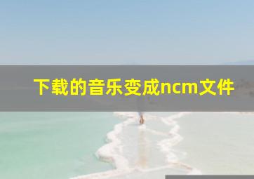 下载的音乐变成ncm文件