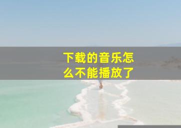 下载的音乐怎么不能播放了