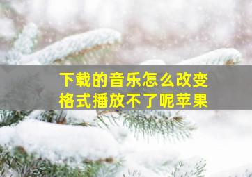 下载的音乐怎么改变格式播放不了呢苹果