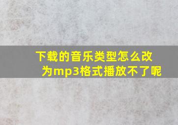 下载的音乐类型怎么改为mp3格式播放不了呢