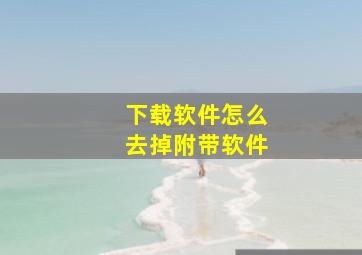 下载软件怎么去掉附带软件