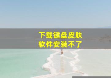 下载键盘皮肤软件安装不了