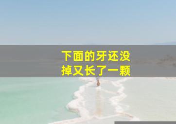 下面的牙还没掉又长了一颗