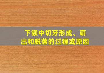 下颌中切牙形成、萌出和脱落的过程或原因