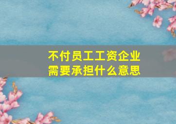 不付员工工资企业需要承担什么意思