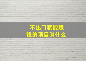 不出门就能赚钱的项目叫什么