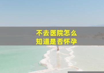 不去医院怎么知道是否怀孕