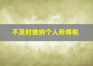 不及时缴纳个人所得税